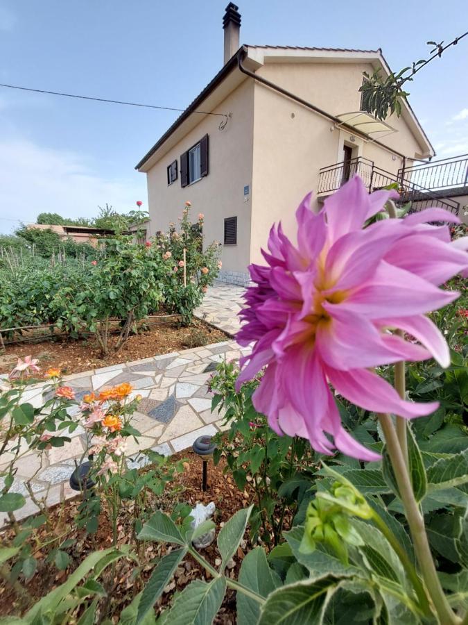 Apartments Rusin Linardici Exterior photo